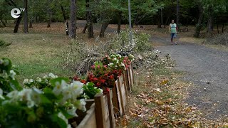 Кърджали ще е домакин на състезание по бягане на дълги разстояния