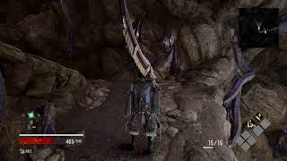 Code vein Night tail and CoolBunny