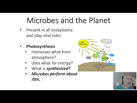 BIO 220 - CHAP 1 - VID 2 - Microbes and the Planet