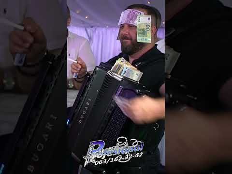 Buba Jovicic i Borko Radivojevic sa Tigrovima