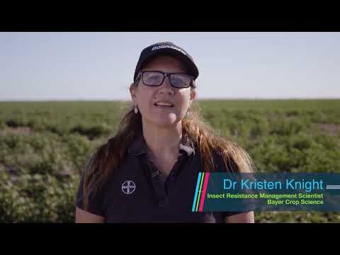 Pick a Future with Cotton Farming | Dr Kristen Knight | 0:27