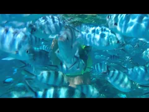 Snorkeling in Bora Bora - Travel Girl