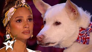 Judges Cry Over Emotional Dog Magic Act on Britain