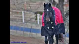 Blackie and the Rodeo Kings with Patty Loveless - &quot;Big East West&quot;