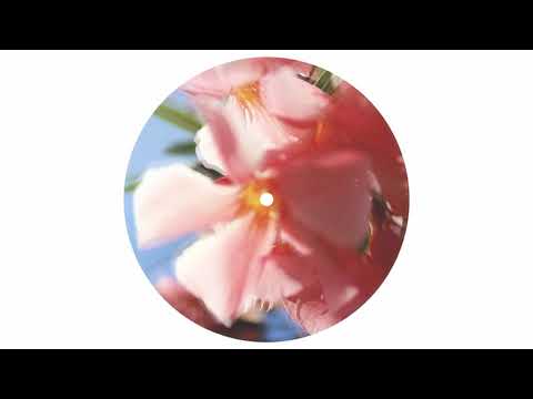Aiden Francis - Pomona (Original Mix)
