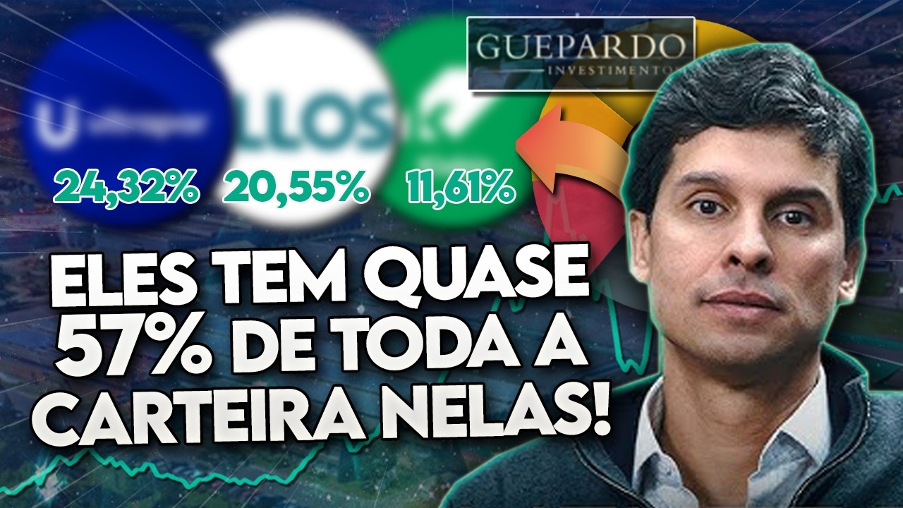 Conheça as 10 POSIÇÕES da GUEPARDO! (O que Octávio Magalhães fez no mês de NOVEMBRO?) - TOP 10