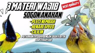 Download lagu MEWAH‼️ MASTERAN SOGON ANAKAN 3 MATERI WAJIB | PLECI NEMBAK KENARI SPEED CILILIN #sogon #sogongacor mp3 Download lagu MEWAH‼️ MASTERAN SOGON ANAKAN 3 MATERI WAJIB | PLECI NEMBAK KENARI SPEED CILILIN #sogon #sogongacor mp3