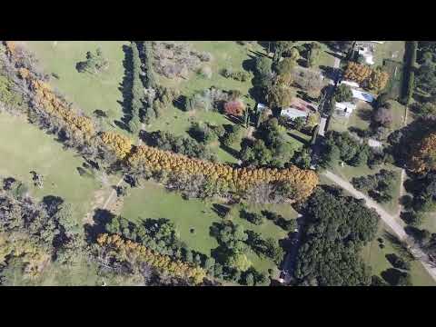 Zavalla - Parque Villarino - 2022 - MT