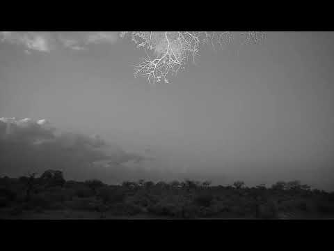 Djuma: Sky view with a storm brewing in the distance - 17:47 - 05/08/2022