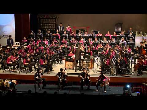 Rockelbel's Canon (Pachelbel's Canon in D) - Nanyang Polytechnic Chinese Orchestra