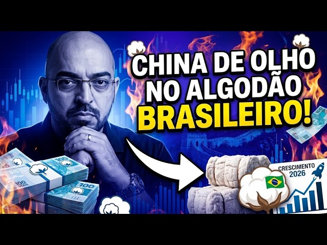 China de olho no algodão brasileiro!
