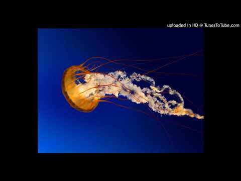 Lee Marrow Featuring Lipstick Do You Want Me '92 Version