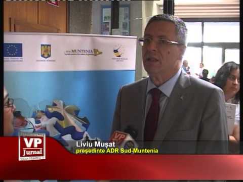 Dezbateri pe marginea regionalizării