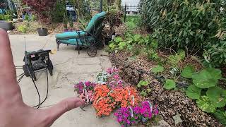Planting Hundreds of Flowers and Tons of New Plants!