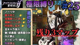 Download lagu 2週目死亡地点、失われた90時間を巻き返してきた（26章～  ）【FEif暗夜ルナ極限縛り】【#25】 mp3
