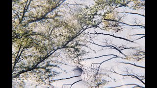 Cale Hawkins - Apt 1F (Official Video)