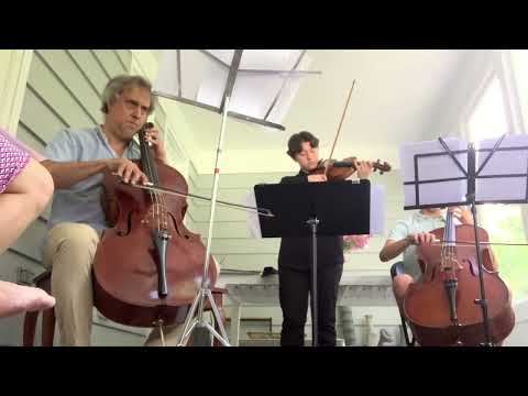 Beethoven Violin Concerto 2nd movement: Larghetto