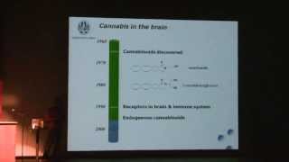 Dr. Arno Hazekamp Explains Endogenous Cannabinoid Receptors