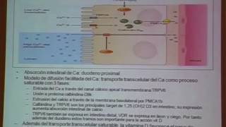 Sesión clínica: Vitamina D: Efectos, carencia, prevención y reposición