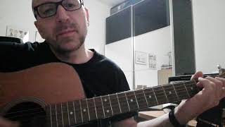 Editors -spiders (acoustic cover)