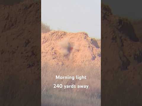 Simmons PRO Hunter 4-12X40MM RIFLESCOPE: Unbeatable Clarity \u0026 Rugged Power!