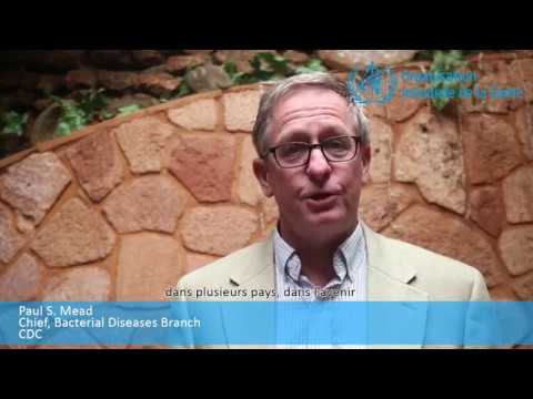 Atelier technique sur la prévention et le contrôle de la peste à Madagascar