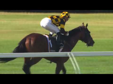 Sword Of State |  Cambridge Stud Almanzor Trophy