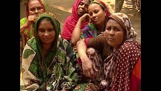 IRESPPW, BRDB Video Documentary