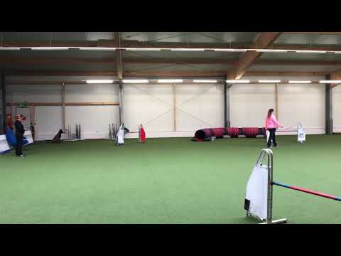 09.02.2018 Östringen - Chii - A2 - 1. Platz