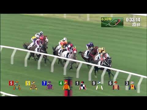 9/1/2022 (320) Team Spirit - Alfred Chan