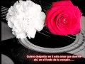 UNA ROSA Y UN CLAVEL - XELENCIA