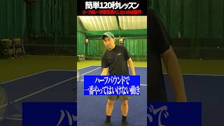 【忙しい人向けテニスレッスン】ハーフボレーでラケットヘッドは動かすな〈ぬいさんぽテニス（Tennis）〉 #テニス #テニスレッスン #tennis