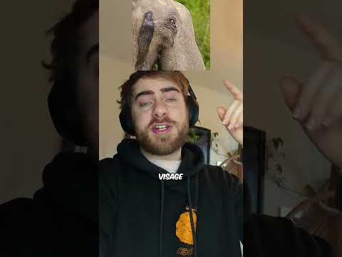 La Phase La Plus DANGEREUSE Chez les Eléphants 🐘💀 #shorts