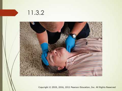 Chapter 11 Principles of Resuscitation