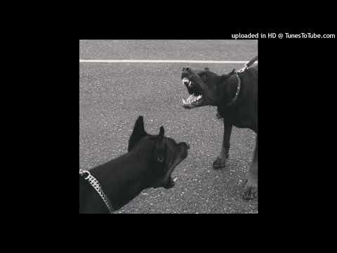 BATO x Truwer x 104 type beat