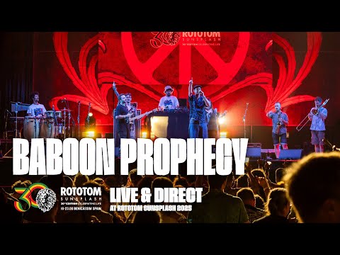 ROTOTOM SUNSPLASH and Baboon Prophecy
