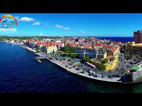 Maestro CED RIDE - PINTOR  - DreaMCation