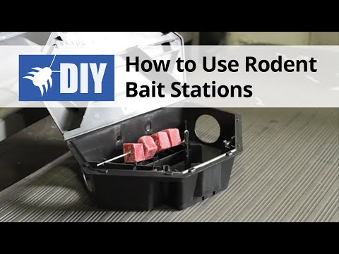  How to Use Rodent Bait Stations Video 