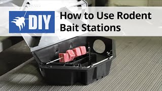 How to Use Rodent Bait Stations
