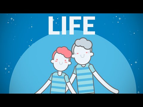 Half of Your Life in 9 Minutes