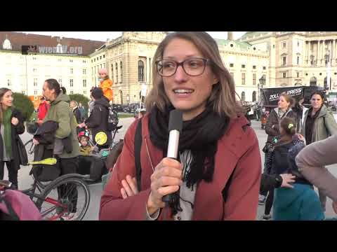 DIE VOLKSSCHULE AUF DEN BARRIKADEN