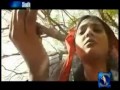 Hikro Dard