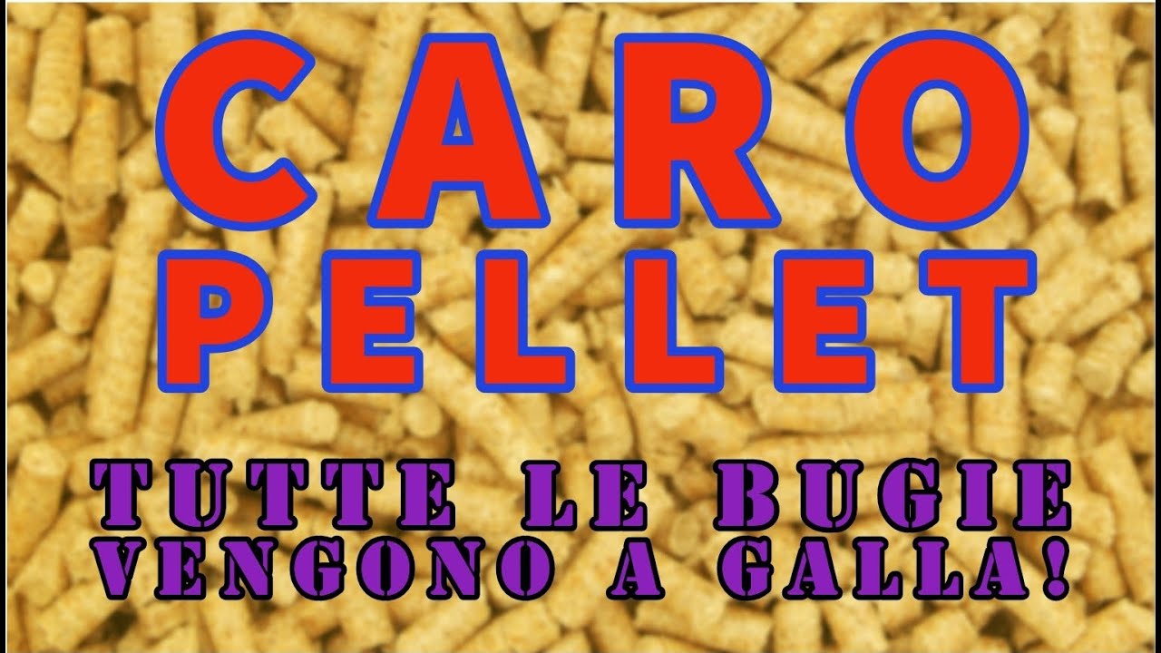 CARO PELLET: TUTTE LE BUGIE VENGONO A GALLA!