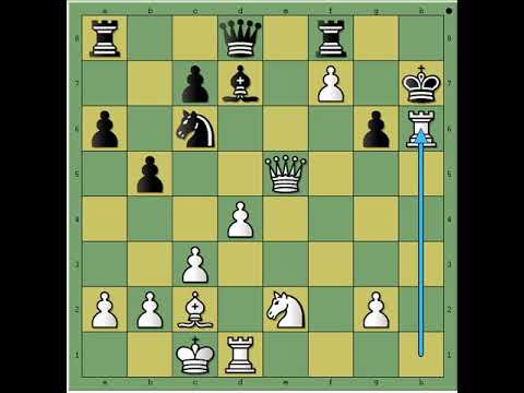 Napad je očigledno najbolja odbrana u šahu 🔺️🔻🔺️🔻🔺️ DIEMER vs ZUJUS #2748