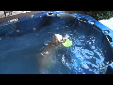 POPPY SWIM IN SPA.wmv