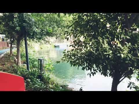 The Big Crocodile's Water Park😱😱😱