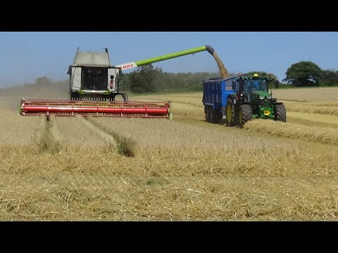 Harvest 2021 - Combining Barley with Claas Lexion 7500 & John Deere 6215R