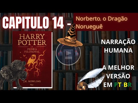 Harry Potter e a Pedra Filosofal ⚡ CAPITULO 14 (Audiolivro em PT-BR)