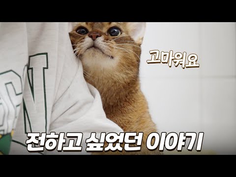 지금까지 영상으로 전하지 못했던 이야기들