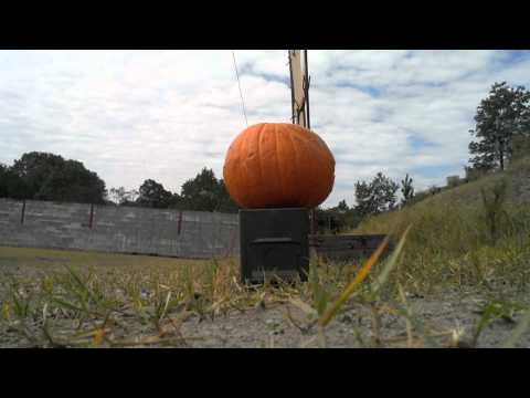 Chris costa shoots pumkin